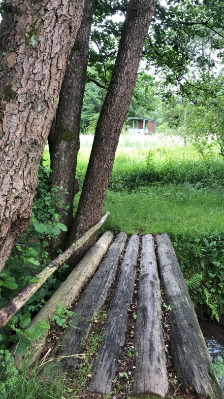 Ein kleiner Holzsteg zwischen Bäumen führt über eine grüne Wiese.